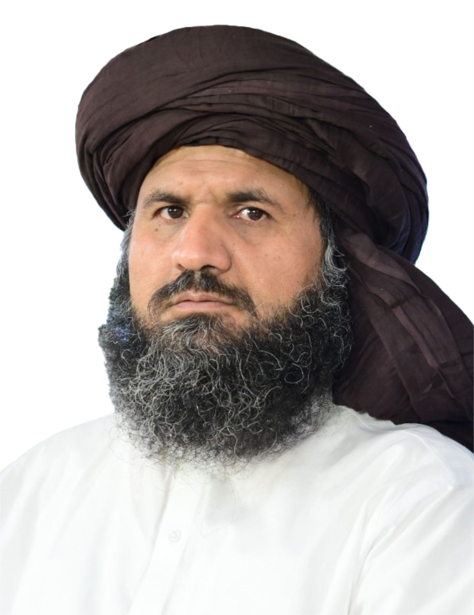 Allama Ghulam Abbas Faizi